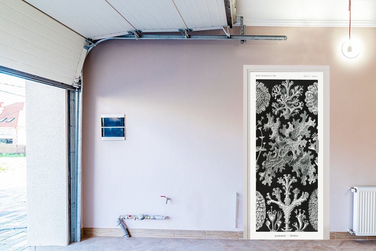 Tür, für Meister bedruckt, cm St), Türaufkleber, Haeckel (1 - Türtapete - Fototapete Natur, Ernst Matt, Koralle MuchoWow - - Alte Kunst 75x205