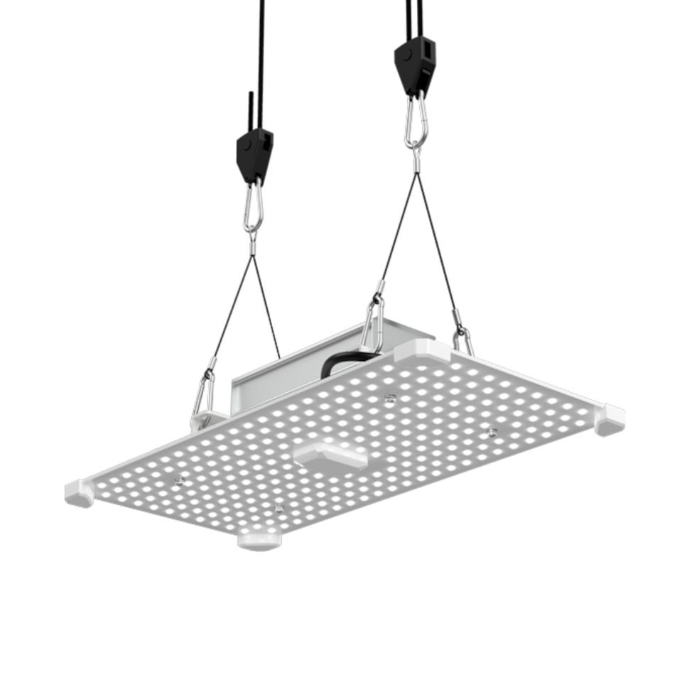 Lumii Pflanzenlampe Lumii Black Blade 100 W LED Wachstum, LED fest integriert, LED Hängelampe