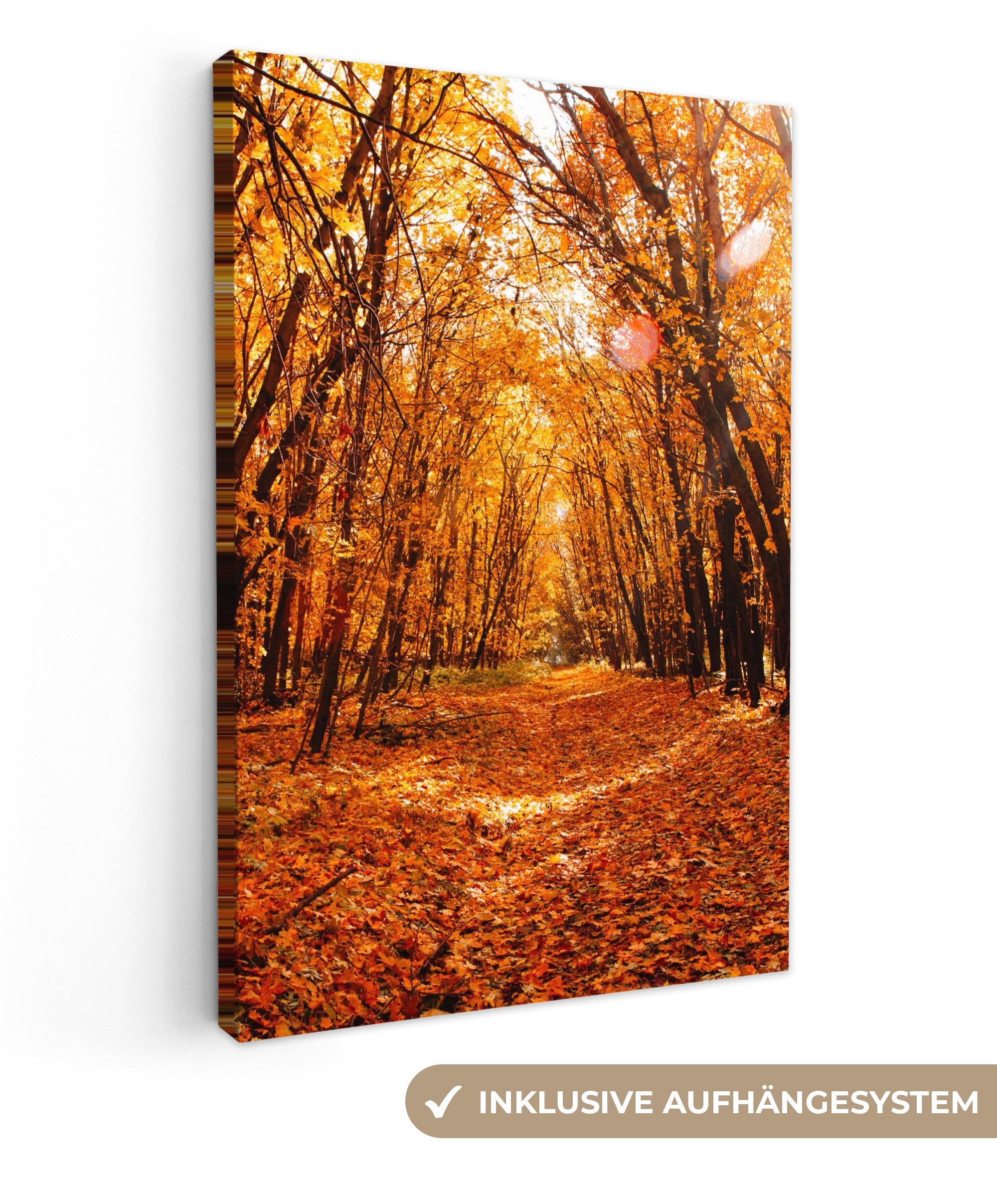 OneMillionCanvasses® Leinwandbild Herbst - Wald - günstig online kaufen