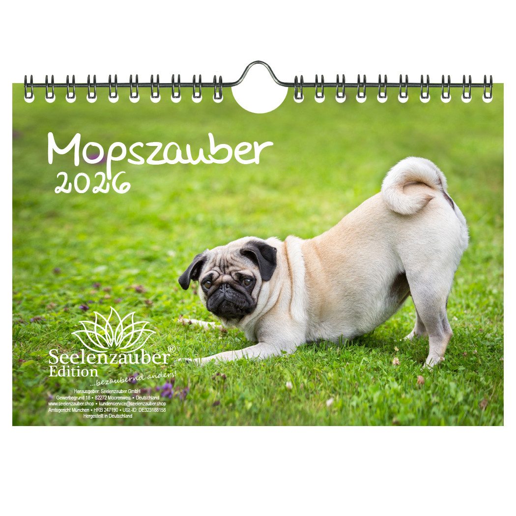 Seelenzauber Wandkalender Mopszauber DIN A5 Kalender für 2026 Mops Hunde und Welpen