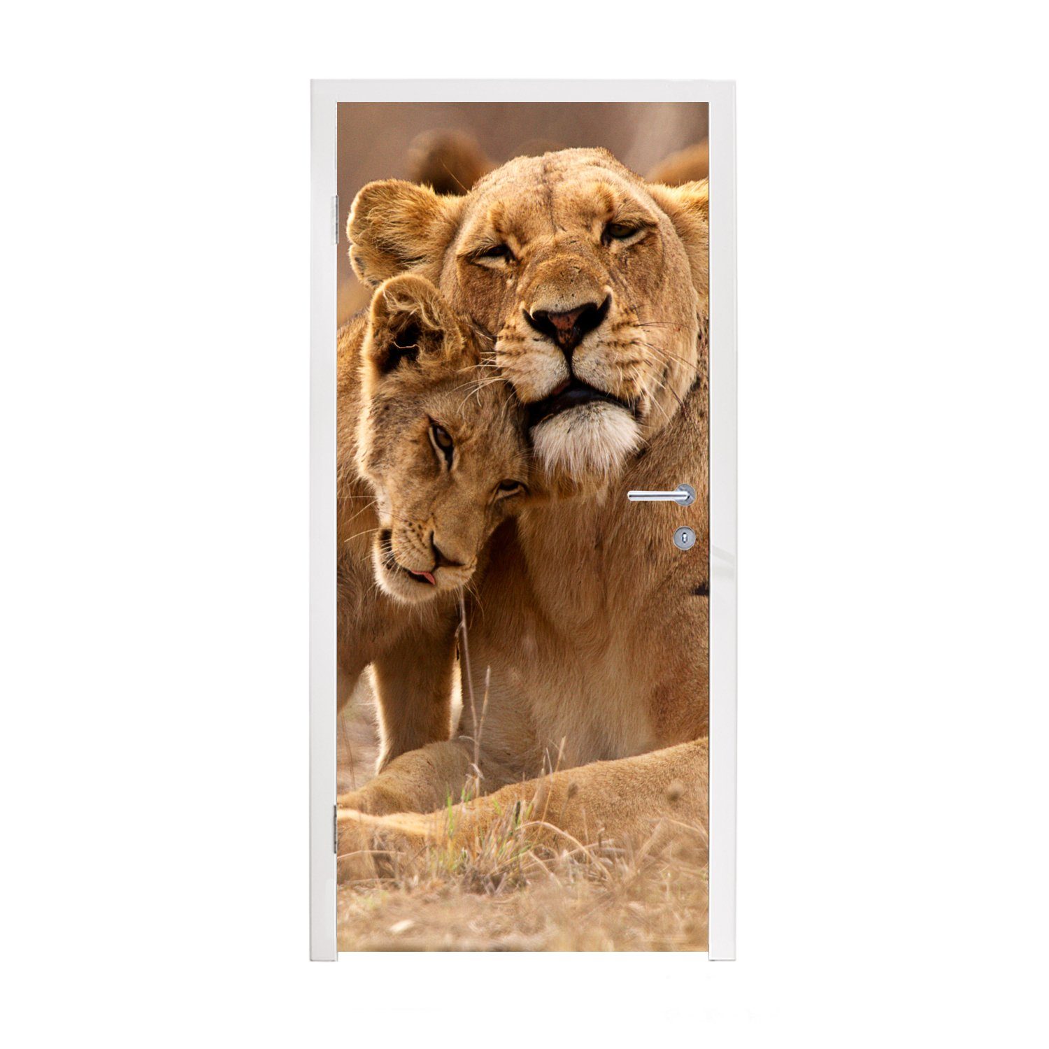 MuchoWow Türtapete Löwe Tiere - Fototapete St), Jungtier, Türaufkleber, für 75x205 Wilde cm - Tür, (1 Matt, bedruckt
