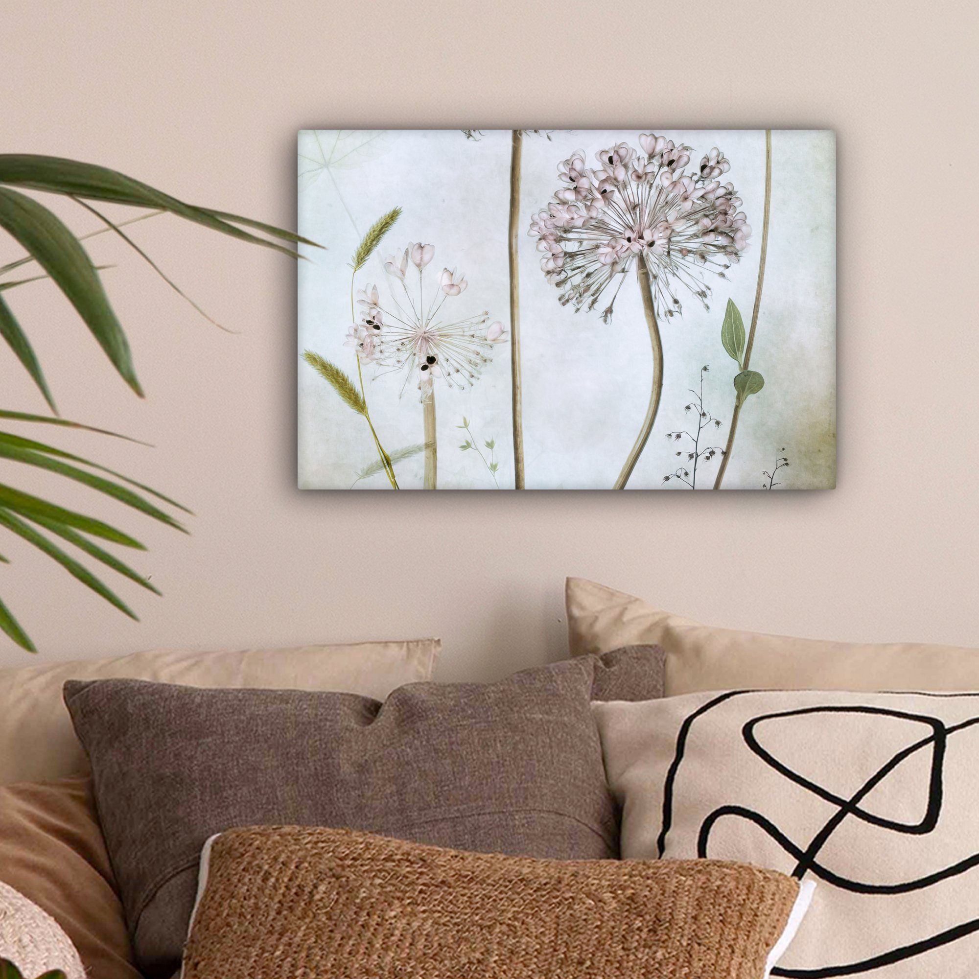 OneMillionCanvasses® Leinwandbild Blumen - Dekorative Zwiebel - Stilleben - Pflanzen, Fotodruck (1 St), Leinwand Canvas Wandbild, Wanddekoration 20x30 cm – Bild 2 von 5