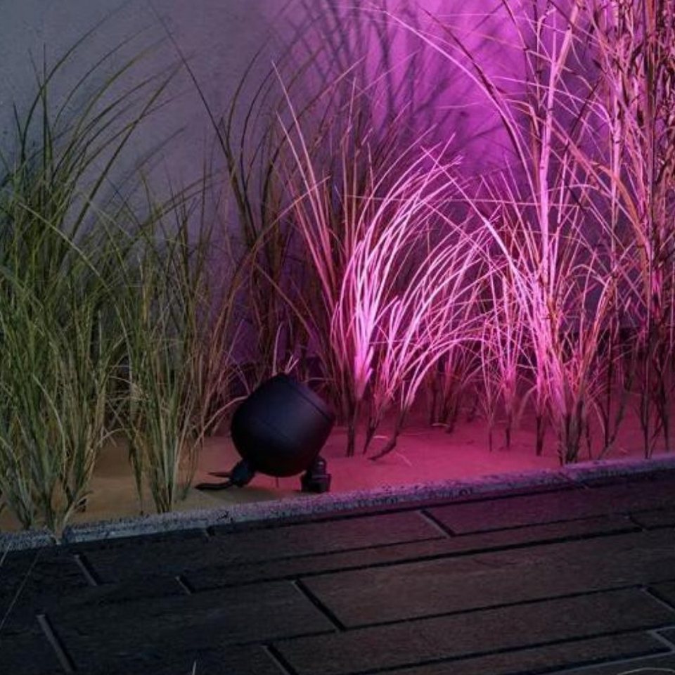 Paulmann LED Gartenstrahler LED Zigbee Erdspießleuchte RGBW Kikolo in  Anthrazit 6,2W 440lm IP65, keine Angabe, Leuchtmittel enthalten: Ja, fest  verbaut, LED, warmweiss, Außenstrahler