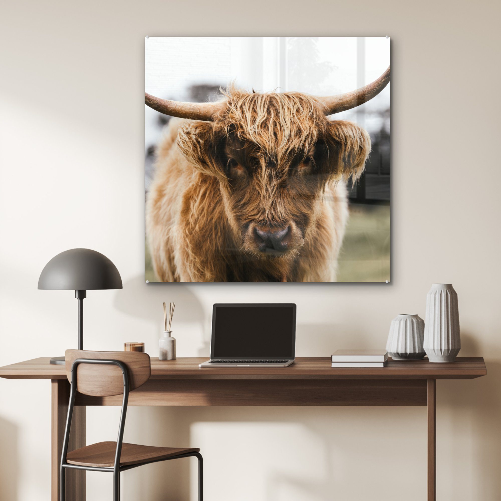 St), Acrylglasbild Gras & Glas Wohnzimmer MuchoWow Küche - Schottischer Highlander - (1 Tiere für Natur, Kuh auf Dekorative - - Bild