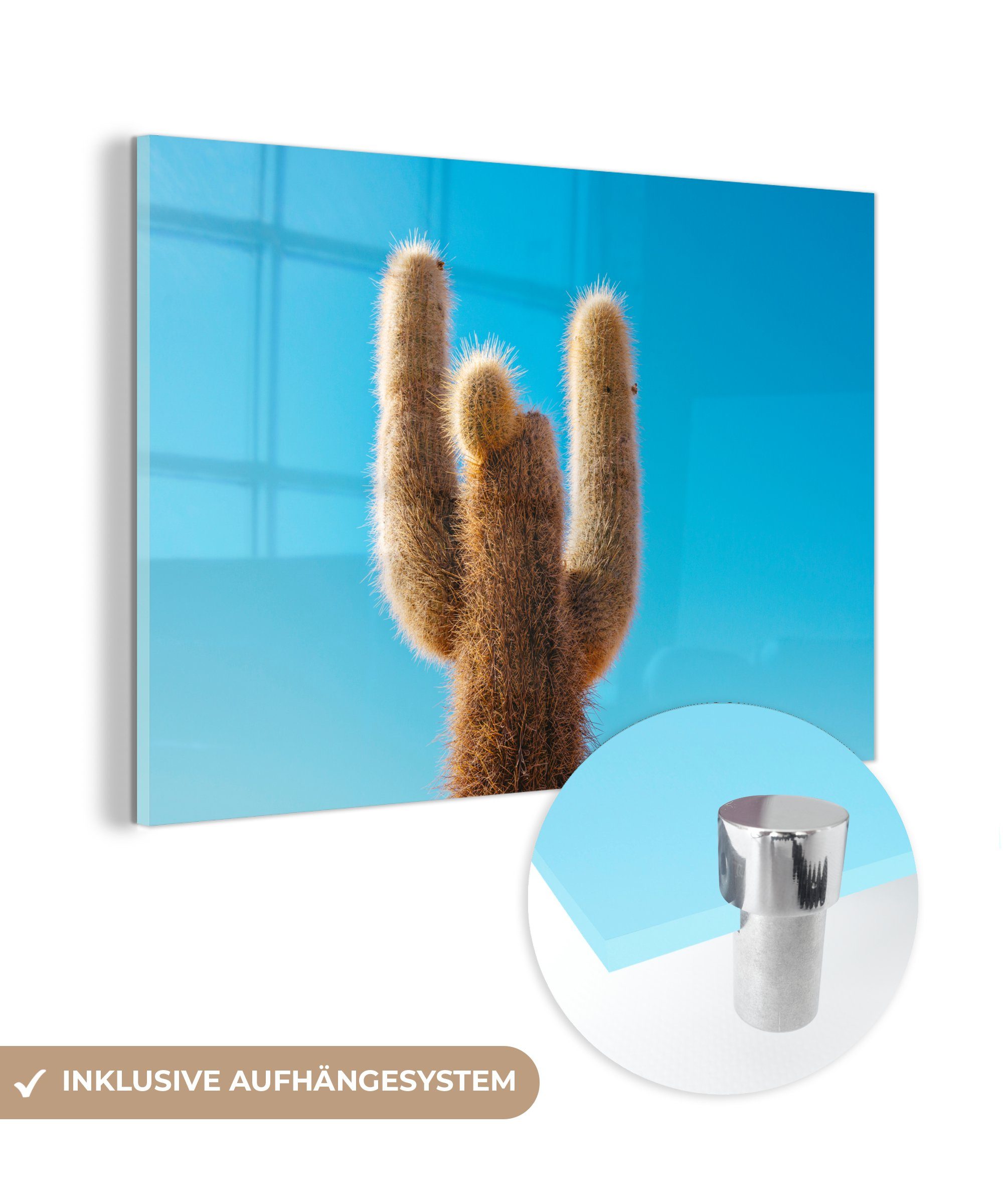 Schnäppchen MuchoWow Acrylglasbild Kaktus mit Acrylglasbilder St), Wohnzimmer Himmel, (1 & blauem Schlafzimmer