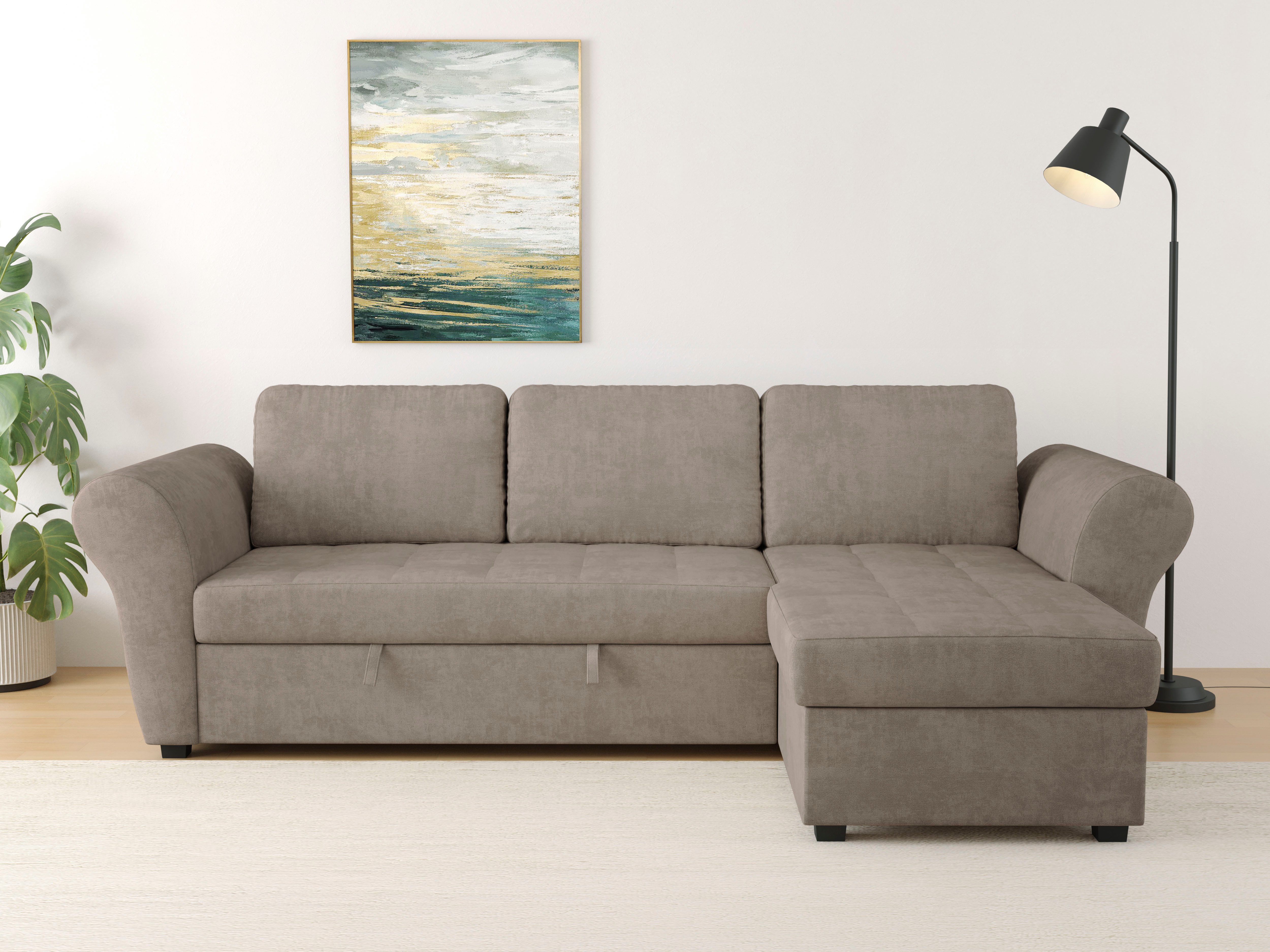 Trends by HG Ecksofa Lasse L-Form, B: 259 cm, mit Schlaffunktion & Bettkasten