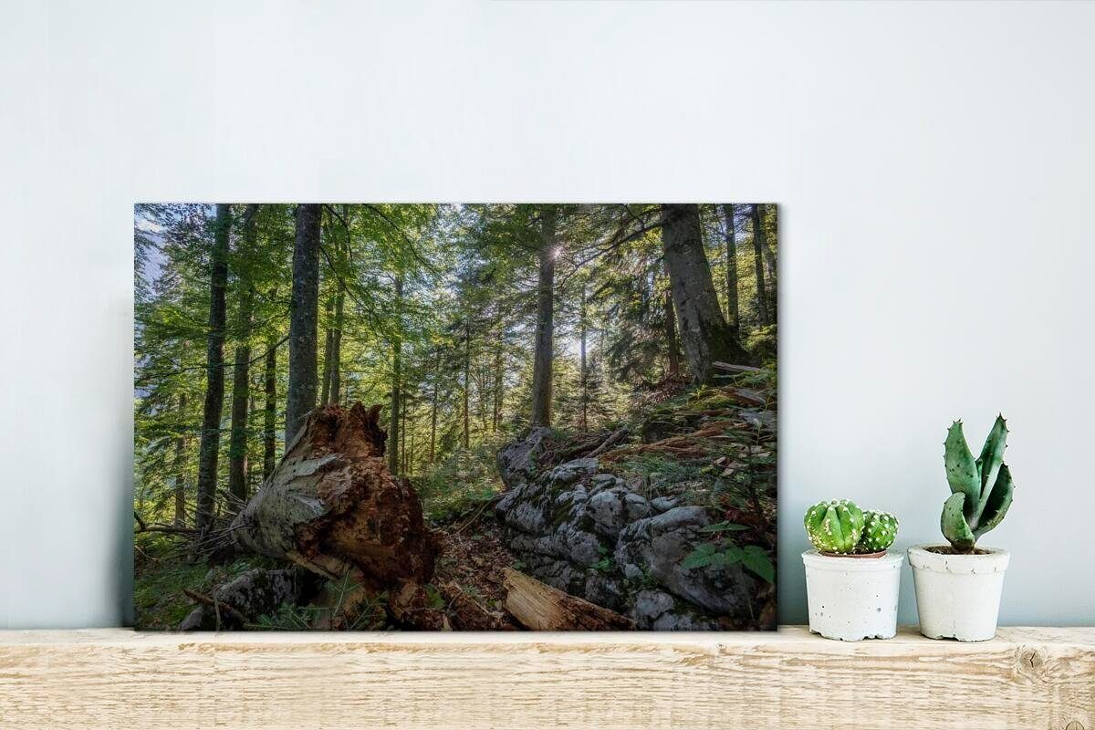 Nationalpark (1 Österreich, Kalkalpen Wälder Wanddeko, St), in 30x20 Leinwandbilder, Wandbild Aufhängefertig, Leinwandbild Uralte im cm OneMillionCanvasses®