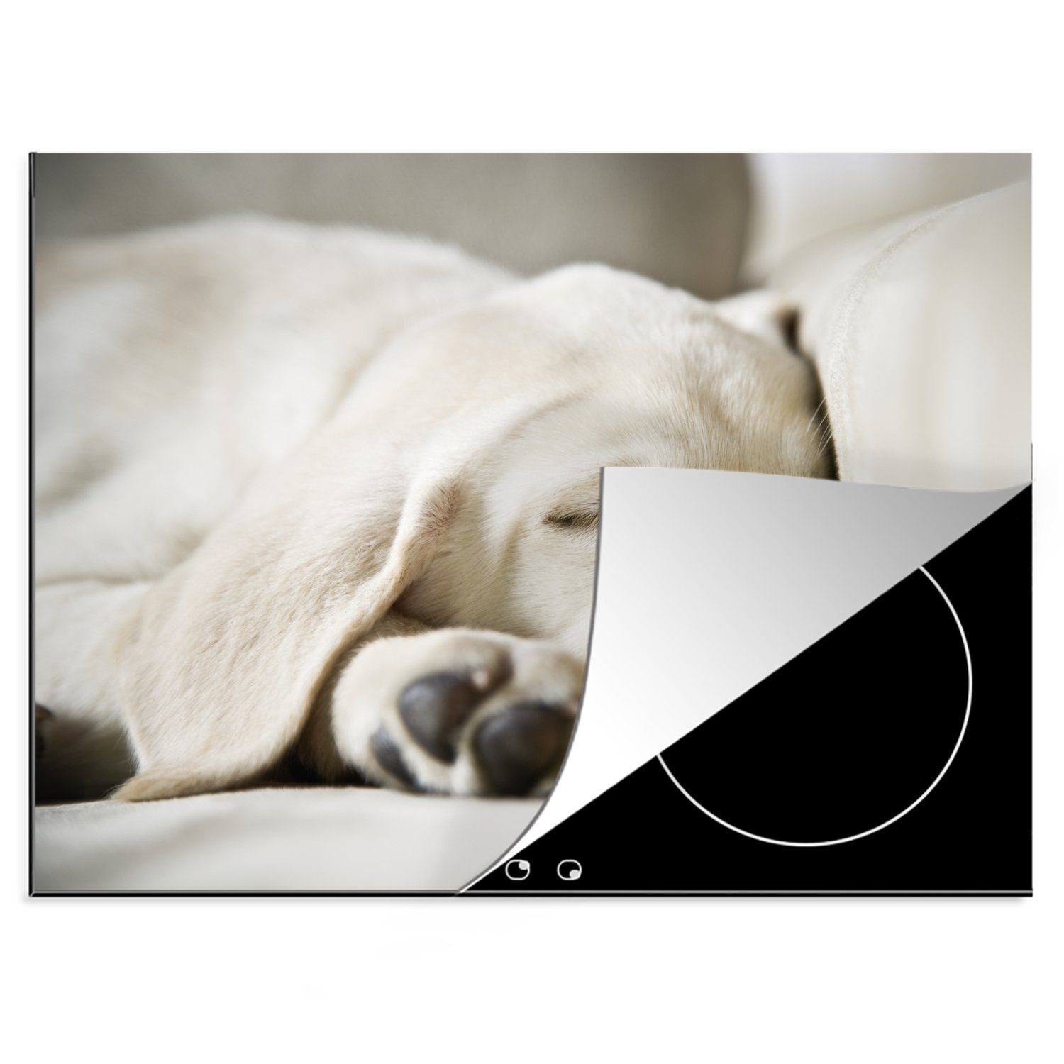 MuchoWow Herdblende-/Abdeckplatte Labrador schläft auf Arbeitsfläche cm, Sofa, tlg), (1 Vinyl, 70x52 dem nutzbar, Ceranfeldabdeckung Mobile