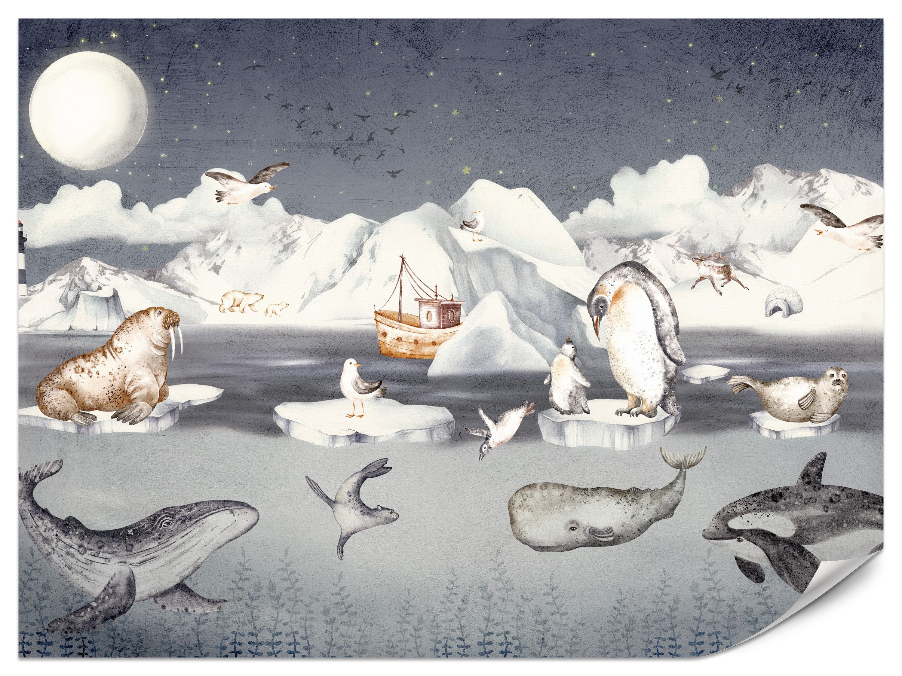 Muralo Fototapete Vliestapete - Polartiere, Arktis, Polarlandschaft, Kindermotiv, Glatt, Grafisch, (Packung, 1 St., 200x140 cm), Kleber im Set, 3D-Optik, Ins Schlafzimmer, Wohnzimmer-Dekoration