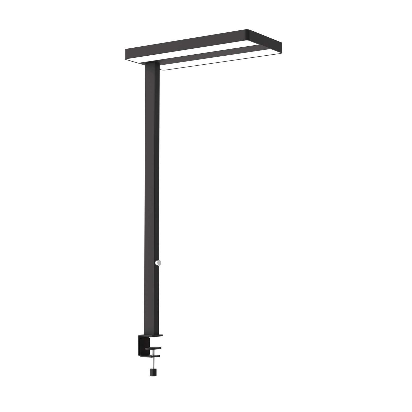 MAUL Stehlampe LED-Tischaufbau MAULjaval, dimmbar, LED wechselbar, Dimmbar