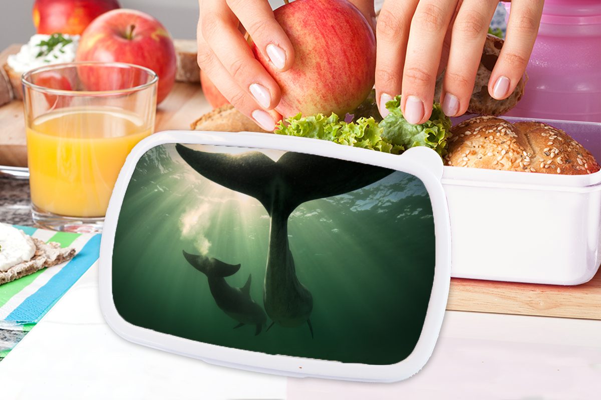 Erwachsene, für Kinder Jungs MuchoWow und Kunststoff, - für - Blau, (2-tlg), Brotbox Mädchen weiß Lunchbox Delfin Wasser und Brotdose,