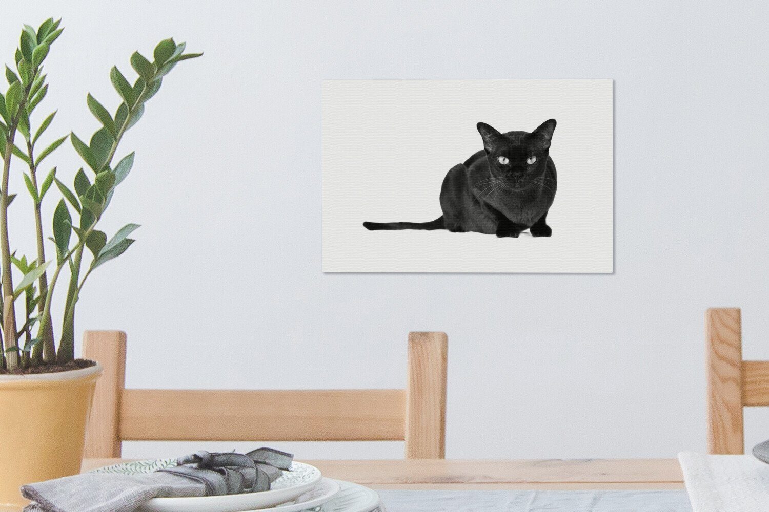 Hintergrund OneMillionCanvasses® (1 birmanische 30x20 St), cm schwarz-weiß, Wandbild Aufhängefertig, Leinwandbild Katze Dunkle weißem - auf Wanddeko, Leinwandbilder,