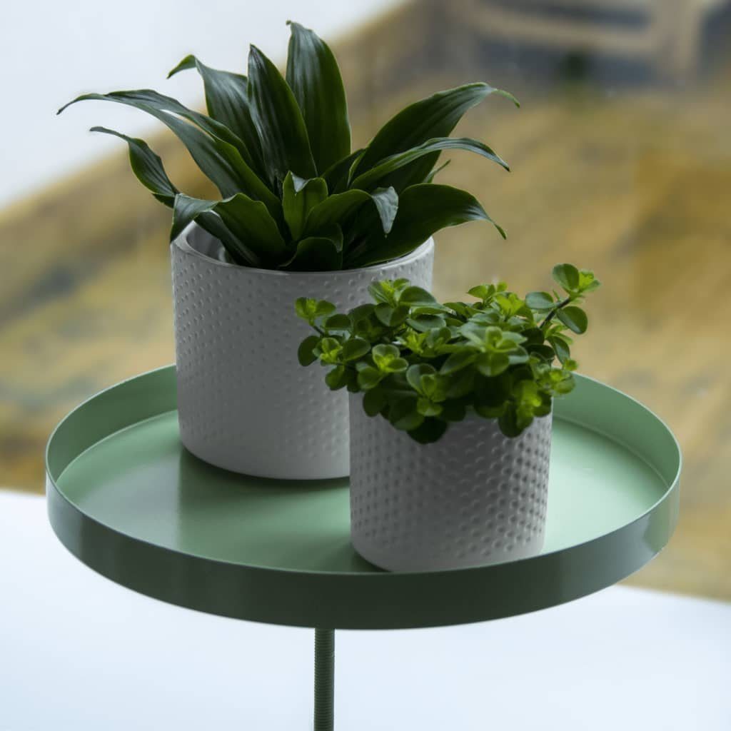 Esschert Design BV Tablett Blumentopfhalter Stahl Grün mit Klemme L, Rund