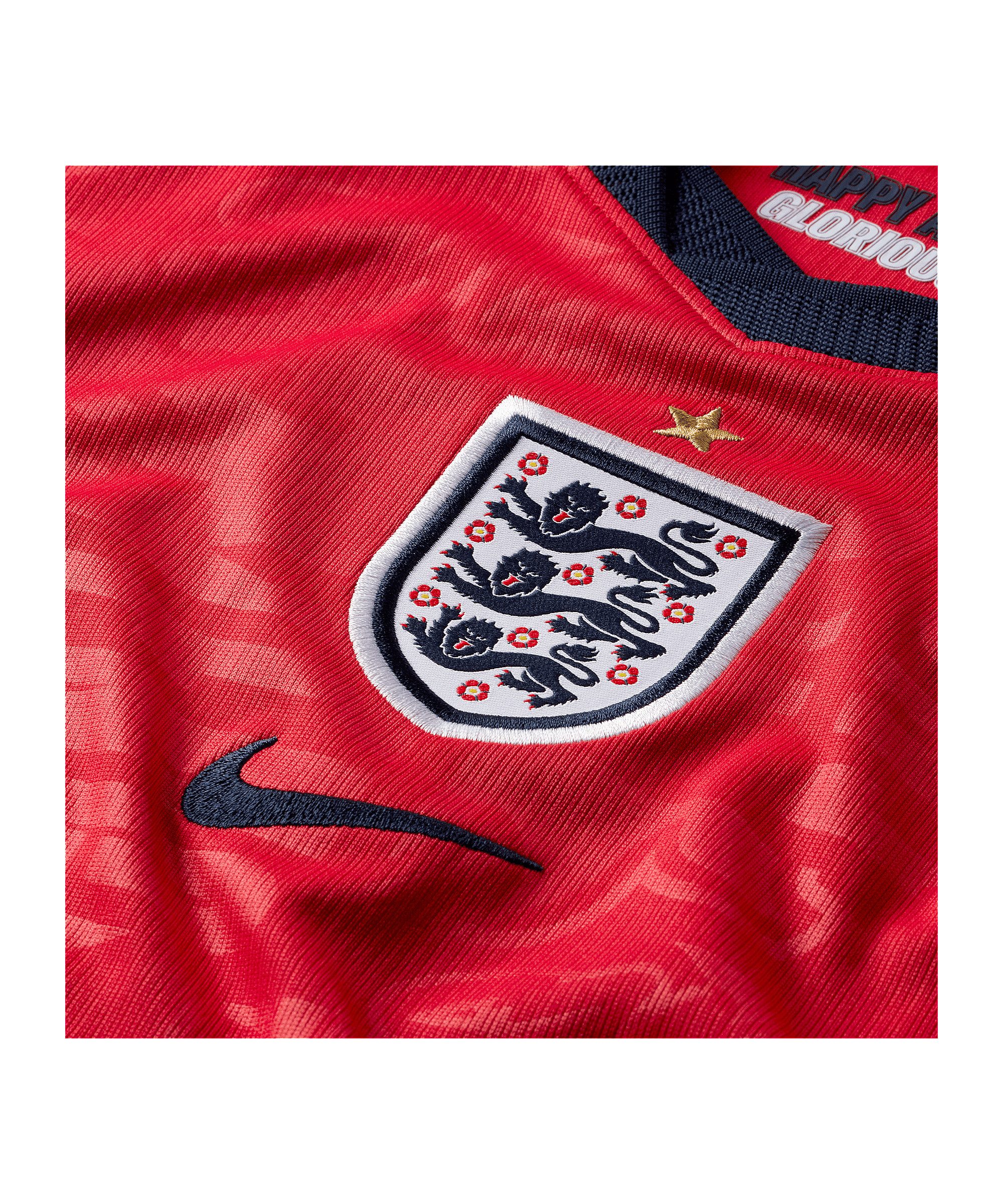 Nike Fußballtrikot Nike Performance Weltmeisterschaft