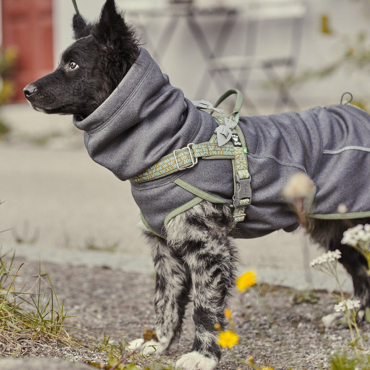 HURTTA Hundepullover Razzle-Dazzle Midlayer Pullover dunkelgrau-hellgrün