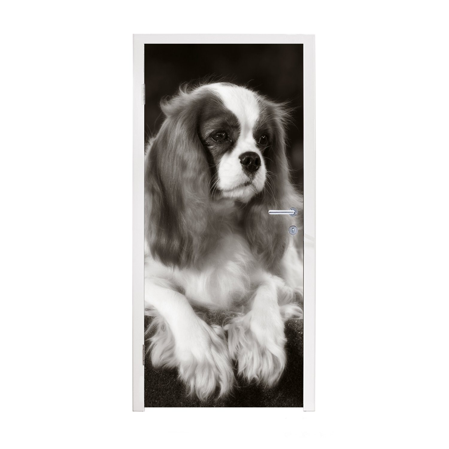 MuchoWow Türtapete Schwarz-Weiß-Foto eines Cavalier King Charles Spaniels, Matt, bedruckt, (1 St), Fototapete für Tür, Türaufkleber, 75x205 cm
