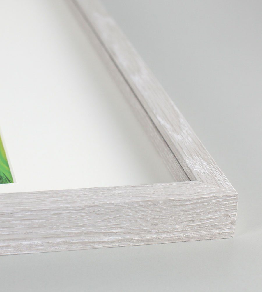 IDEAL TREND Bilderrahmen 3D Objektrahmen Holz günstig online kaufen