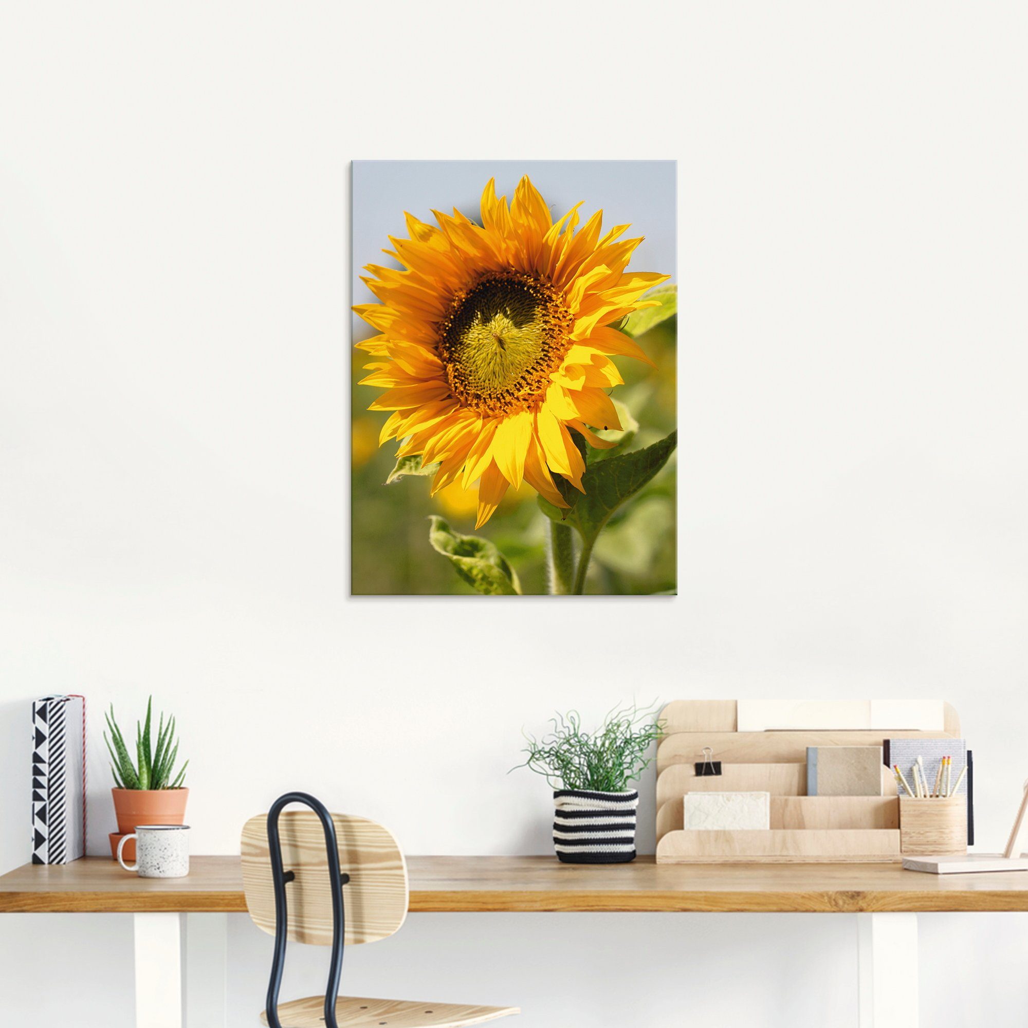 Artland Glasbild »Sonnenblume Nahaufnahme«, Blumen (1 Stück)-HomeTrends