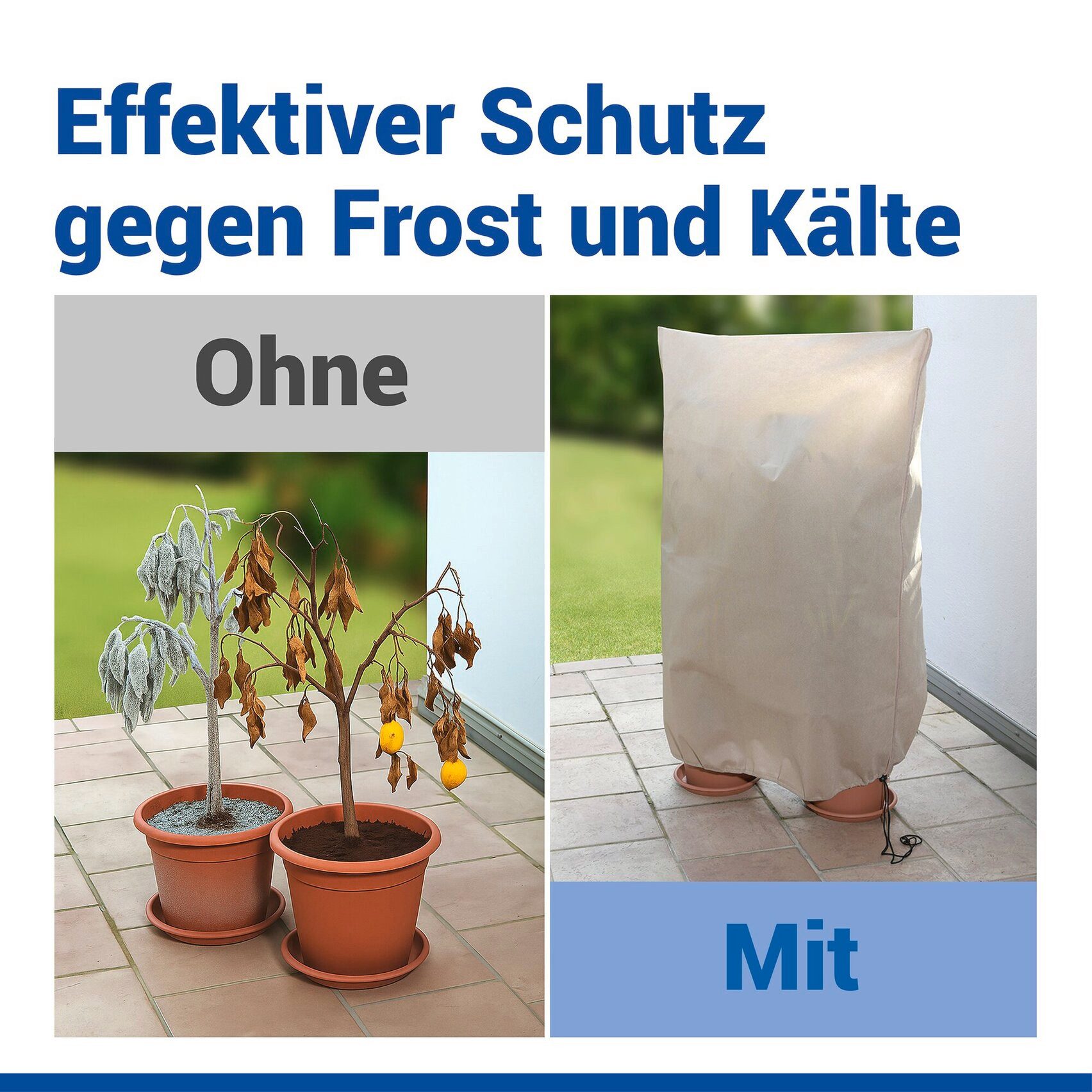 Maximex Winterschutzhaube Pflanzenschutz-Vlies, 100x120 cm, reißfestes Vlies, mit Reißverschluss und Zugband, BxH: 100x120 cm – Bild 5 von 5