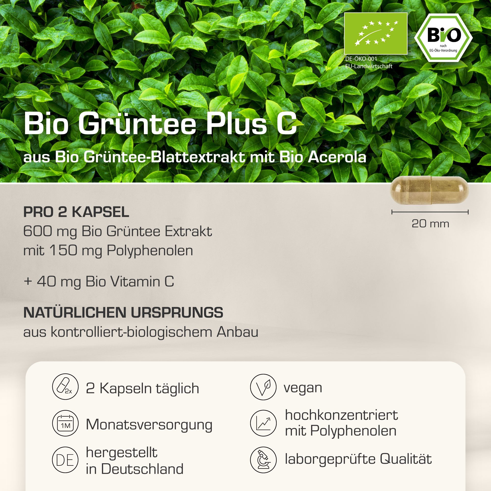 Purabyo Bio Grüntee Extrakt Plus C Kapsel, 33 g