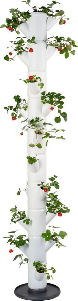 Gusta Garden Pflanzkübel SISSI STRAWBERRY Erdbeerbaum, 10 Etagen inkl.  Untersetzer, Erdbeeren anbauen leicht gemacht