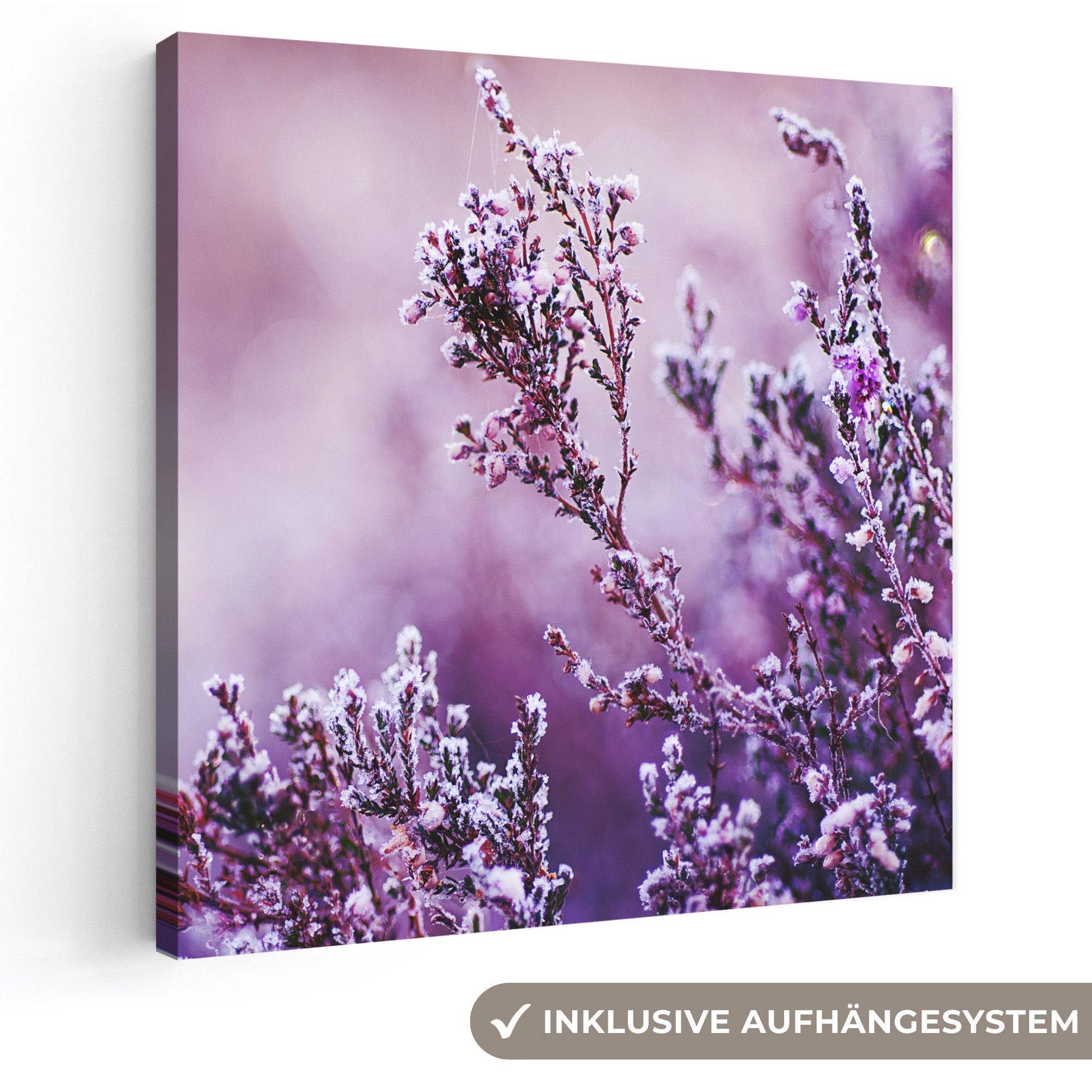 OneMillionCanvasses® Leinwandbild Lavendel - Winter - Blumen - Lila, Fotodruck (1 St), Wandbild, Deko Schlafzimmer Wohnzimmer Flur 20x20 cm