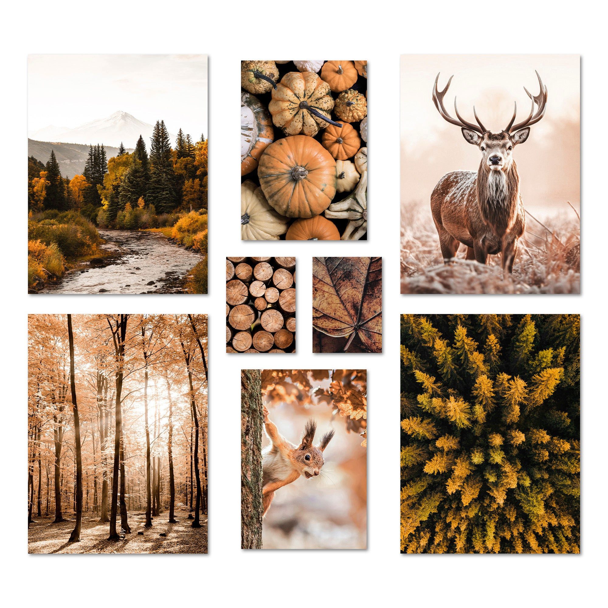 ARTFAVES Bilder-Collage Poster Set Autumn Forest I mehrteilige Bilderwand I Wandbilder Herbst, (Wandbilder modern, 8 St)