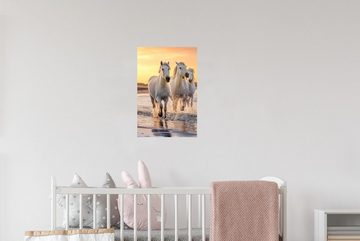 MuchoWow Wandsticker Pferde - Sonne - Meer - Strand - Tiere (1 St), Sticker für die Babyzimmer und Kinderzimmer, Wasserabweisend