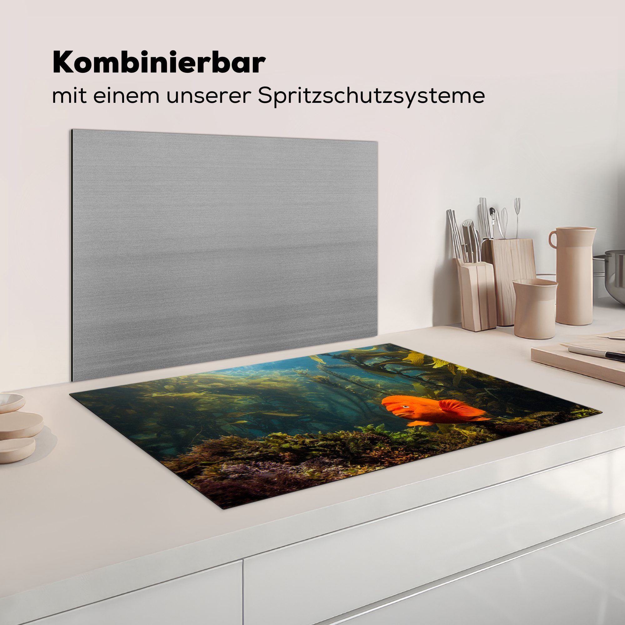 Induktionskochfeld Vinyl, cm, 81x52 für die küche, Wasser Schutz MuchoWow Fische, tlg), Herdblende-/Abdeckplatte (1 - - Kelp Ceranfeldabdeckung