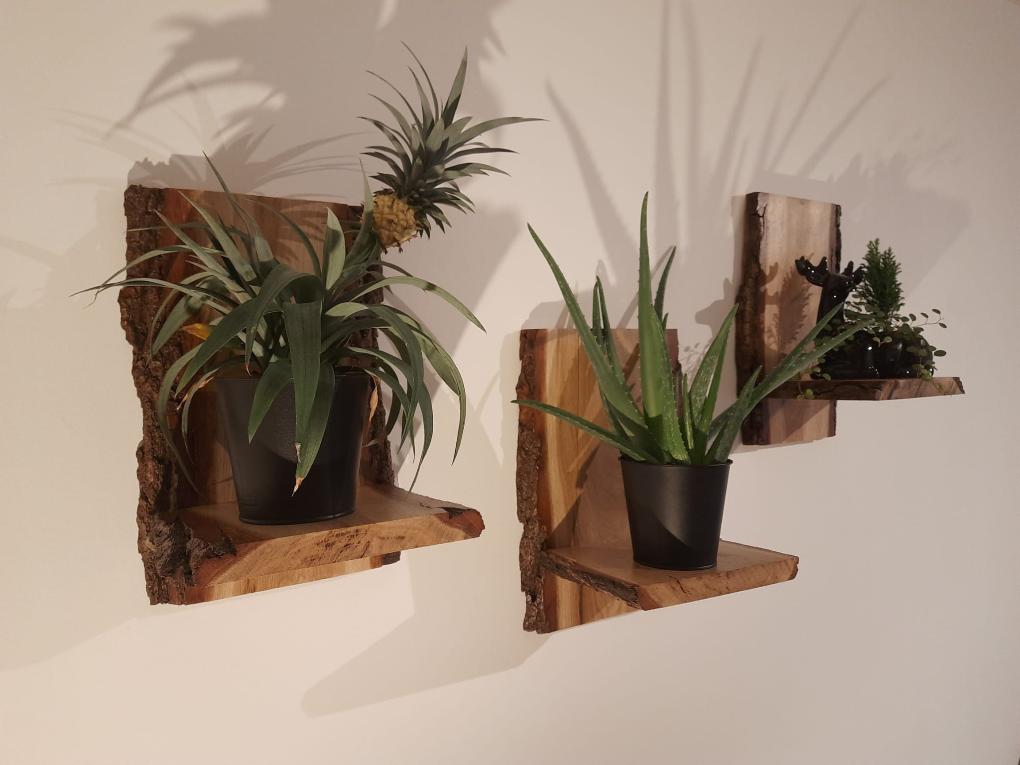 Roomberry Deko-Wandregal Schwendes Holz Regal aus Eichen-Holz - Rustikaler günstig online kaufen