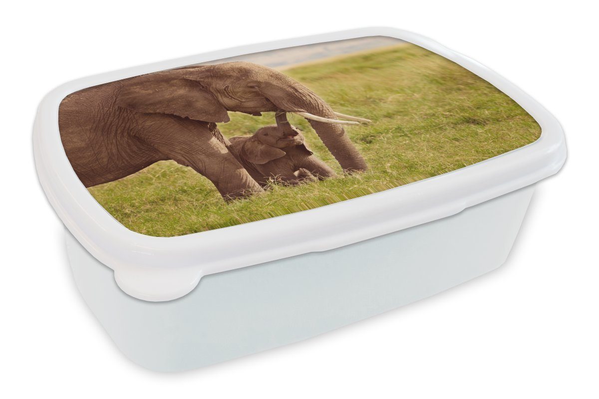 MuchoWow Lunchbox Elefant - Gras - Jung - Rüssel, Kunststoff, (2-tlg), Brotbox für Kinder und Erwachsene, Brotdose, für Jungs und Mädchen weiß