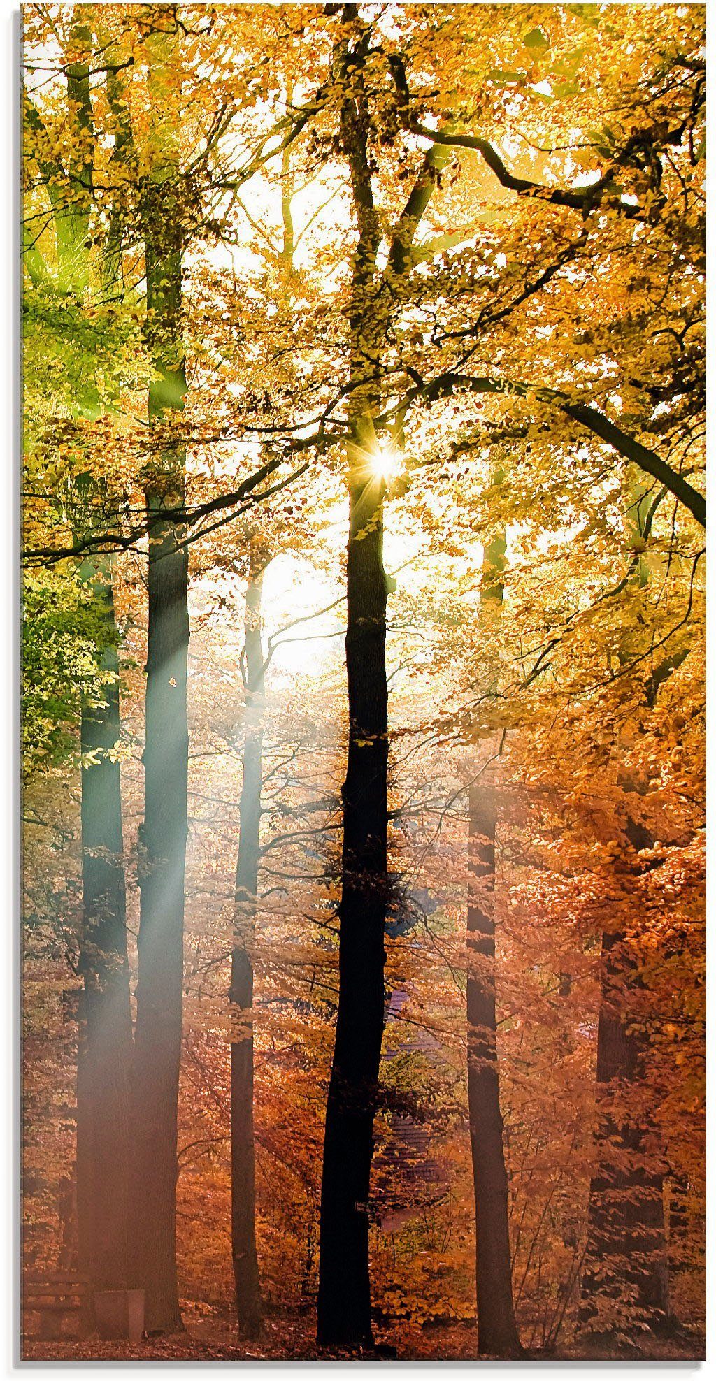 Artland Glasbild Schöner Größen Herbsttag (1 St), 2, Wald in verschiedenen