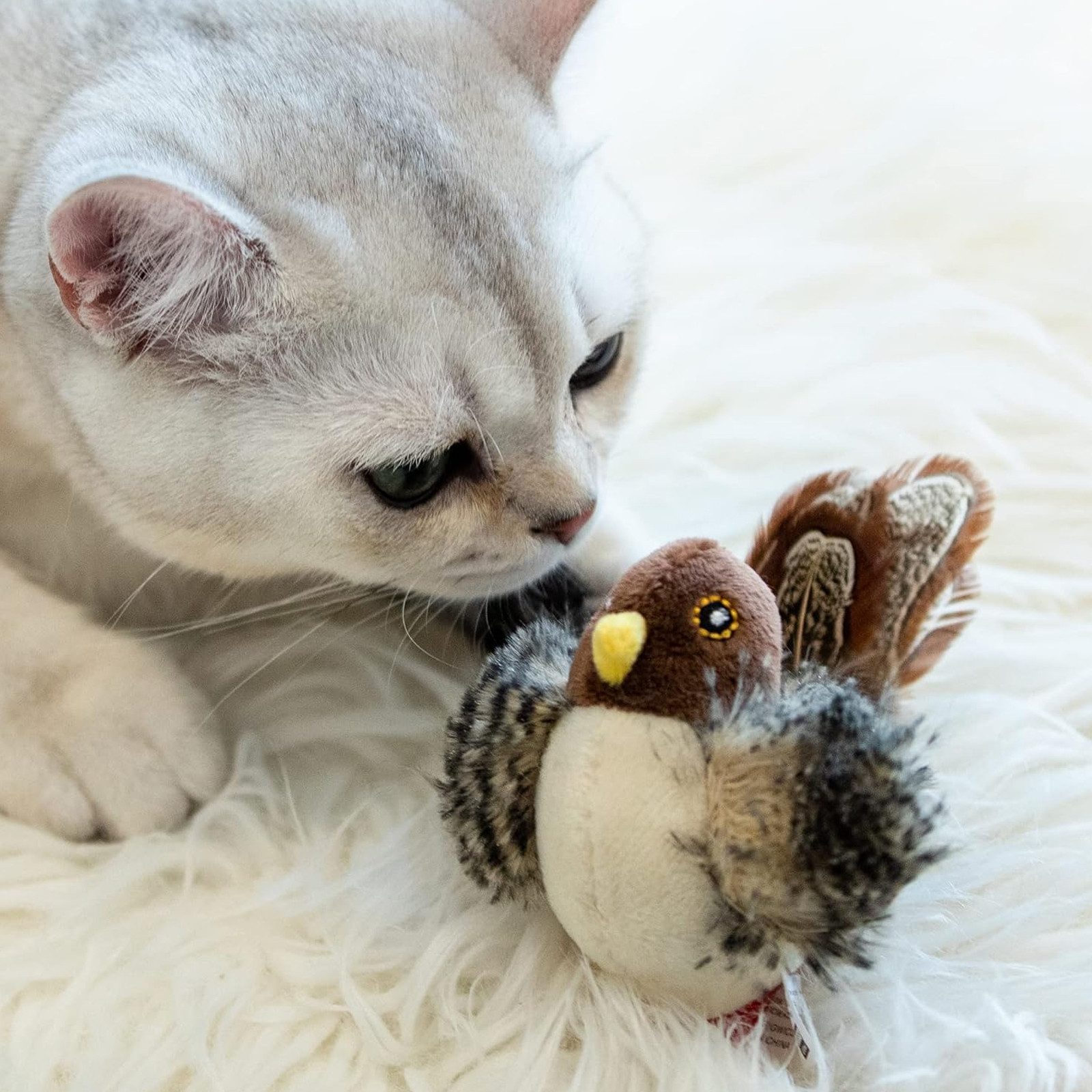 REDOM Tier-Intelligenzspielzeug Interaktives Katzenspielzeug Vogel Haustier günstig online kaufen