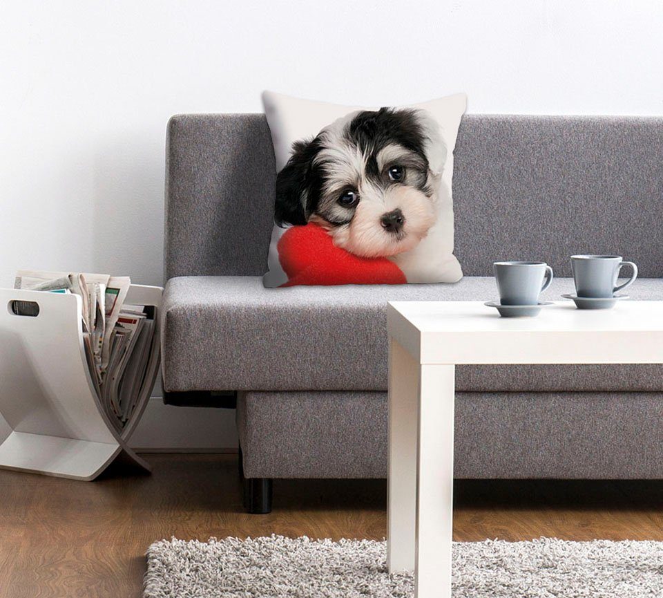 queence Dekokissen Vanessa, Kissenhülle,süßer kleiner Hund,Niedlich,Tiermotiv,Charmant,Freundlich