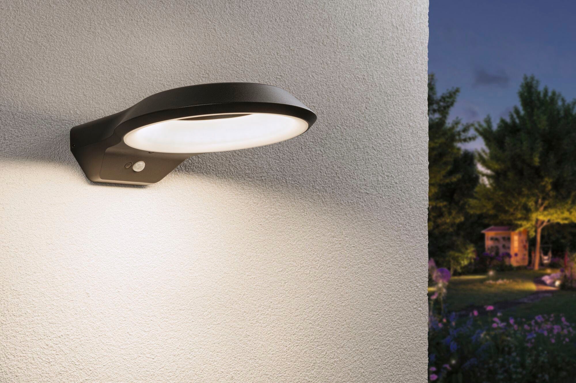 Außen-Wandleuchte fest Paulmann LED integriert, Anela LED insektenfreundlich 230V,