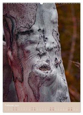CALVENDO Wandkalender Die Seele der Bäume (Premium, hochwertiger DIN A2 Wandkalender 2023, Kunstdruck in Hochglanz)