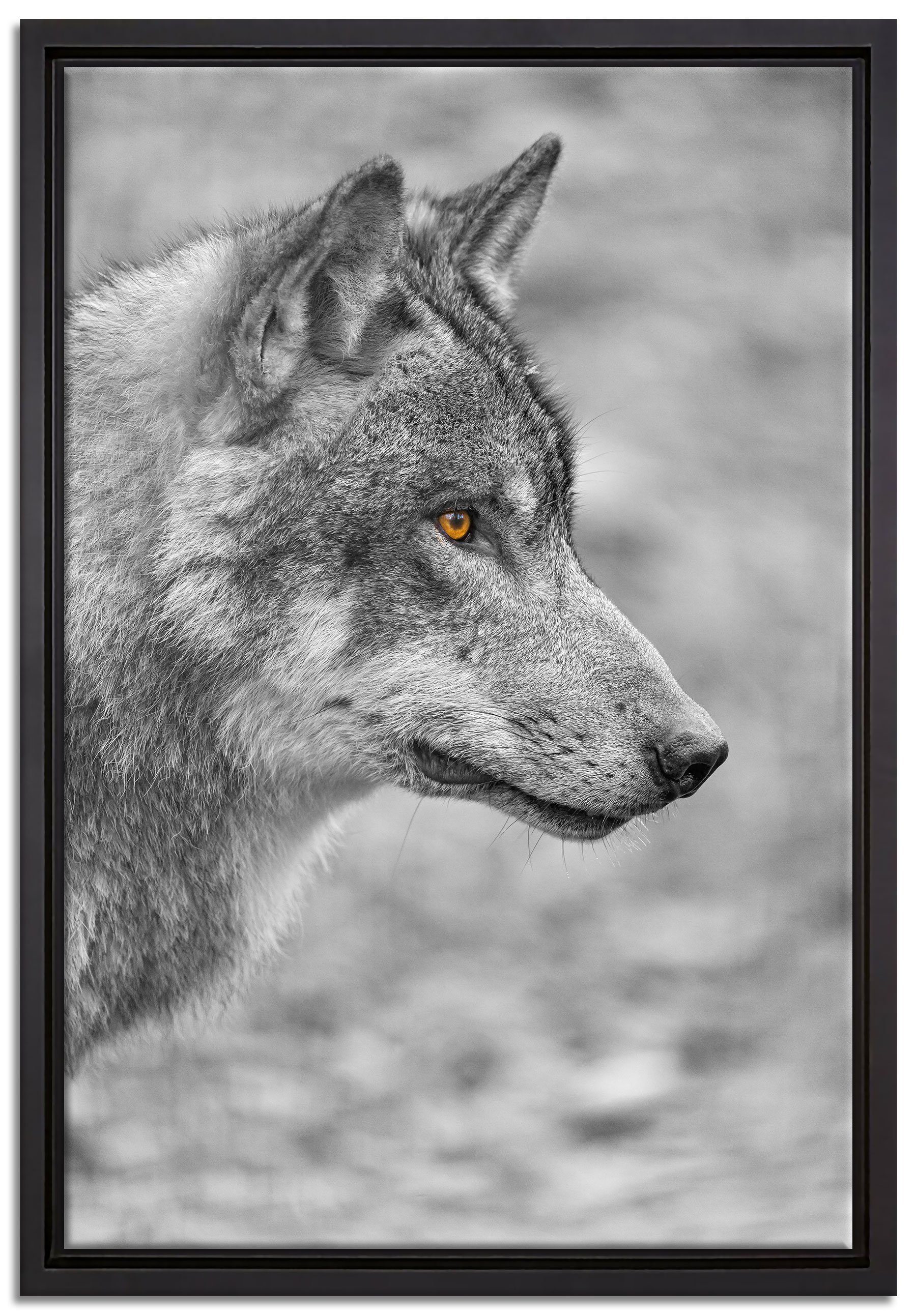 Pixxprint Leinwandbild anmutiger Wolf im Wald, Wanddekoration (1 St), Leinwandbild fertig bespannt, in einem Schattenfugen-Bilderrahmen gefasst, inkl. Zackenaufhänger