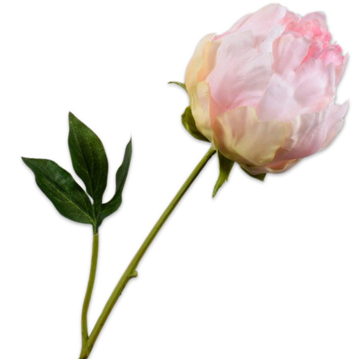 Künstliche Zimmerpflanze Seidenblume Pfingstrose Knospe Pfirsich (58cm), SILK-KA