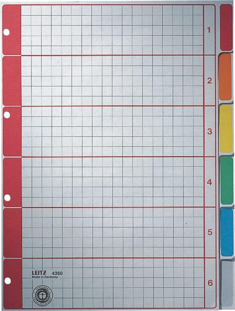 LEITZ Aktenordner Register A4 blanko 230g/qm Karton grau 6-teilig