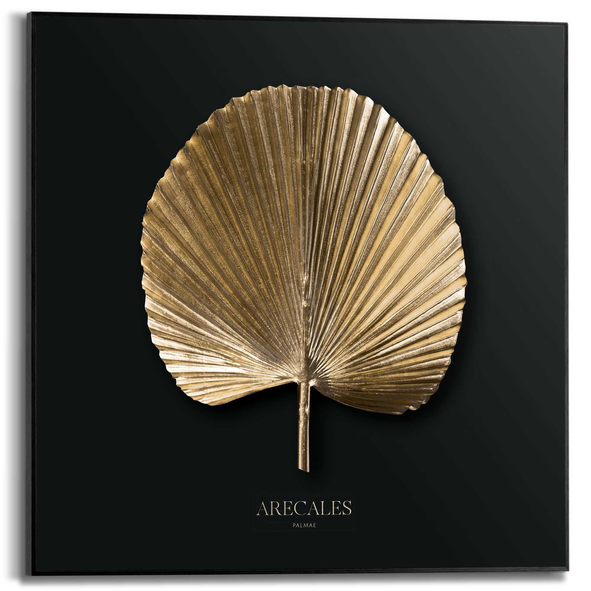 Reinders! Poster Areca Gold