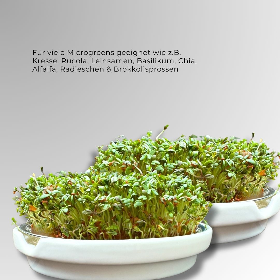 Hellosprout Anzuchttopf Kresse Anzuchtschalen, Keimschalen mit 2 x Kressesieb, Hochwertige (Anzuchtschale, Keimschale mit 2x Edelstahl Sieb, 2 St., Für Kresse & Microgreens), Keimschalen ohne Erde - Inkl. Ratgeber