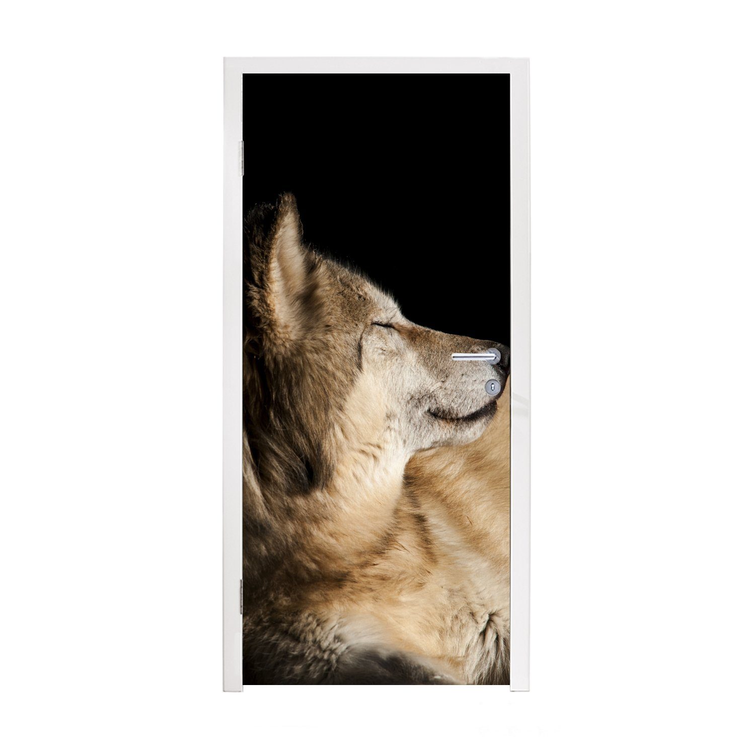 MuchoWow Türtapete Zufriedener Polarwolf, Matt, bedruckt, (1 St), Fototapete für Tür, Türaufkleber, 75x205 cm | Türtapeten