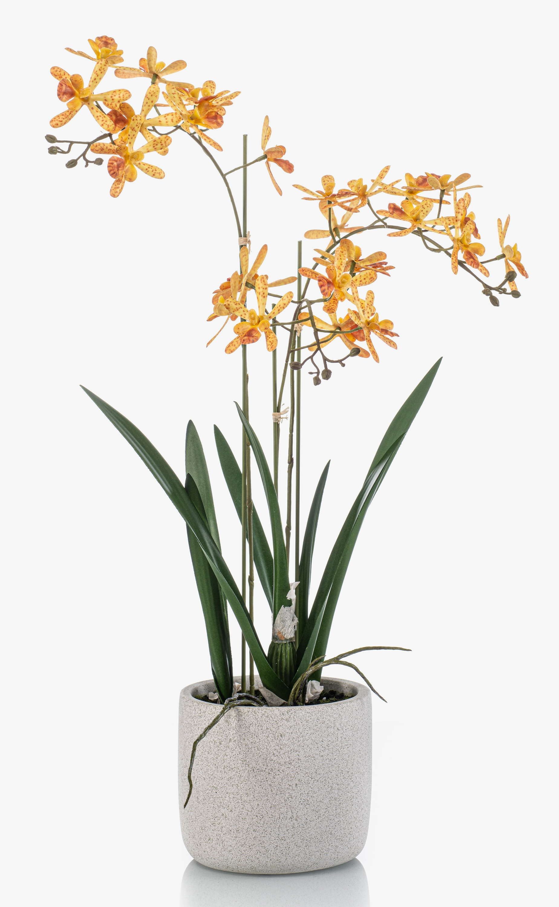 Kunstorchidee Künstliche Renanthera Orchidee BLANI im Keramiktopf, Wurzeln, gel Orchidee (Orchidee renanthera monachica), artplants, Höhe 55.0 cm
