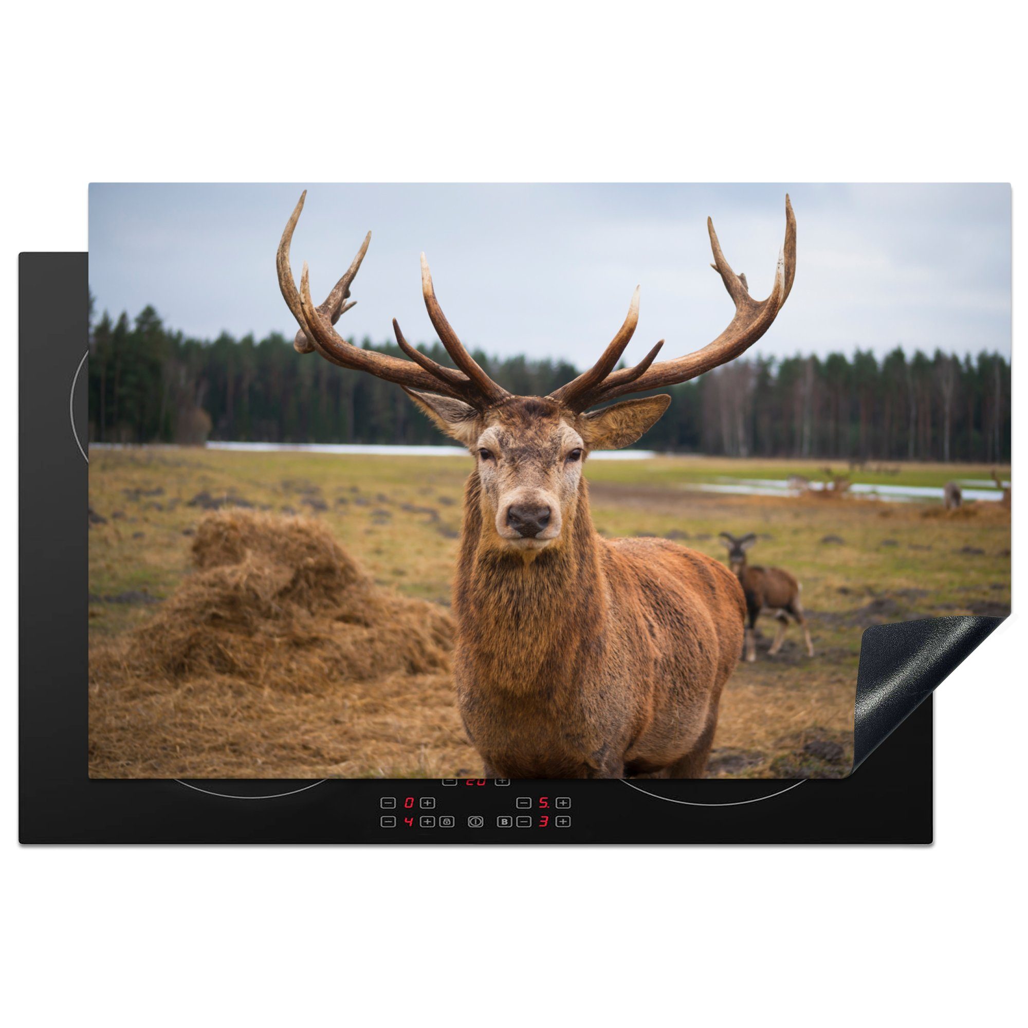 cm, Ceranfeldabdeckung Wiese, küche, Schutz Induktionskochfeld (1 tlg), MuchoWow 81x52 Rotwild Vinyl, die - - für Natur Herdblende-/Abdeckplatte