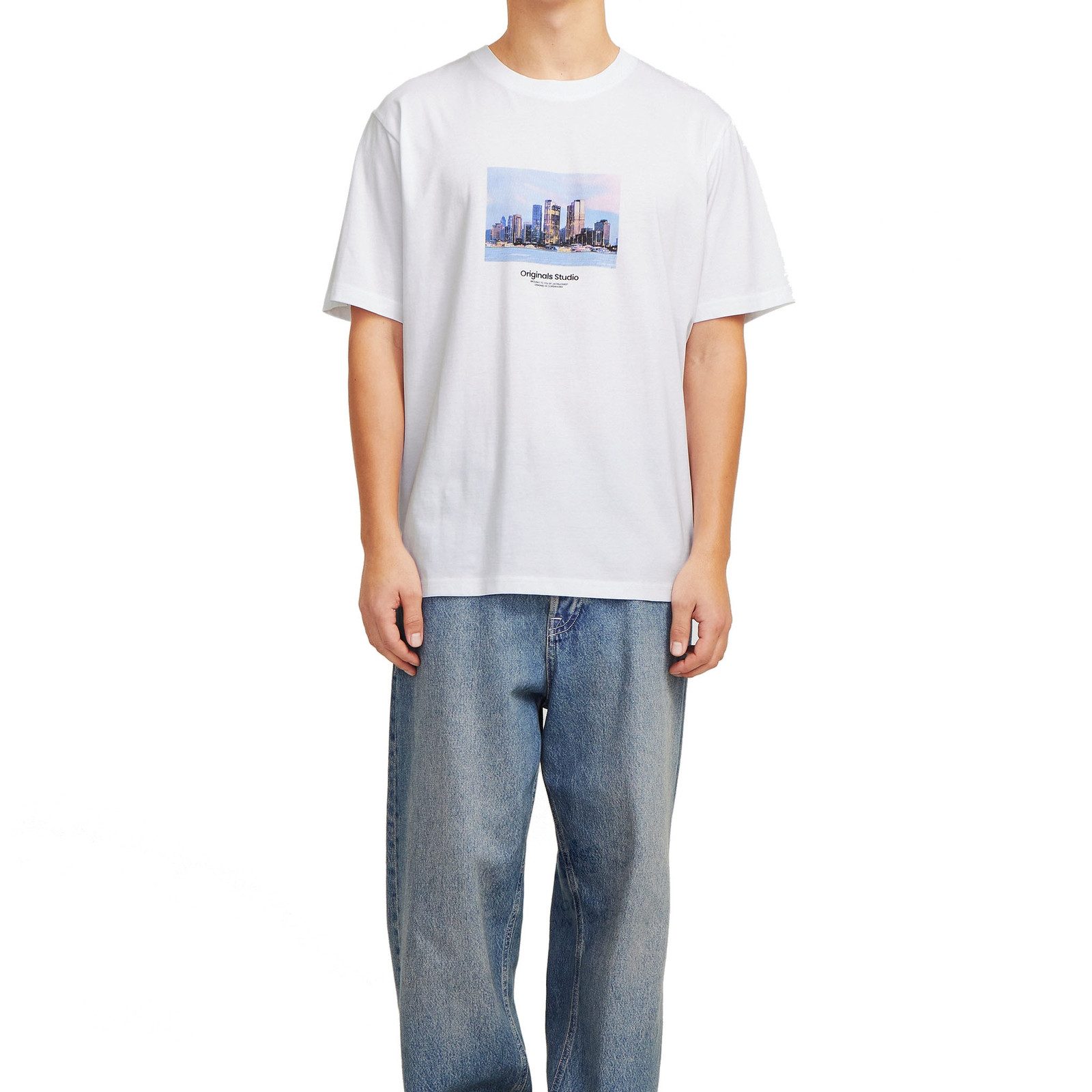 Jack & Jones T-Shirt JORVESTERBRO Picture Tee SS Crew Neck SN mit Print auf günstig online kaufen