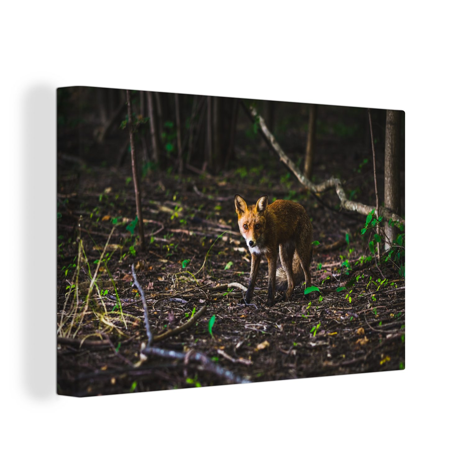 OneMillionCanvasses® Leinwandbild Fuchs - Wald - Orange, (1 St), Wandbild Leinwandbilder, Aufhängefertig, Wanddeko, 30x20 cm