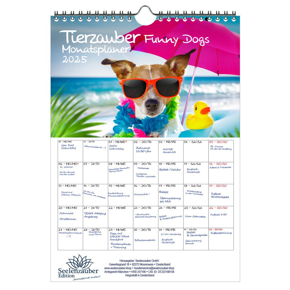 Seelenzauber Wandkalender Tierzauber Funny Dogs Wand- Planer Kalender für 2025 DIN A4 Hunde