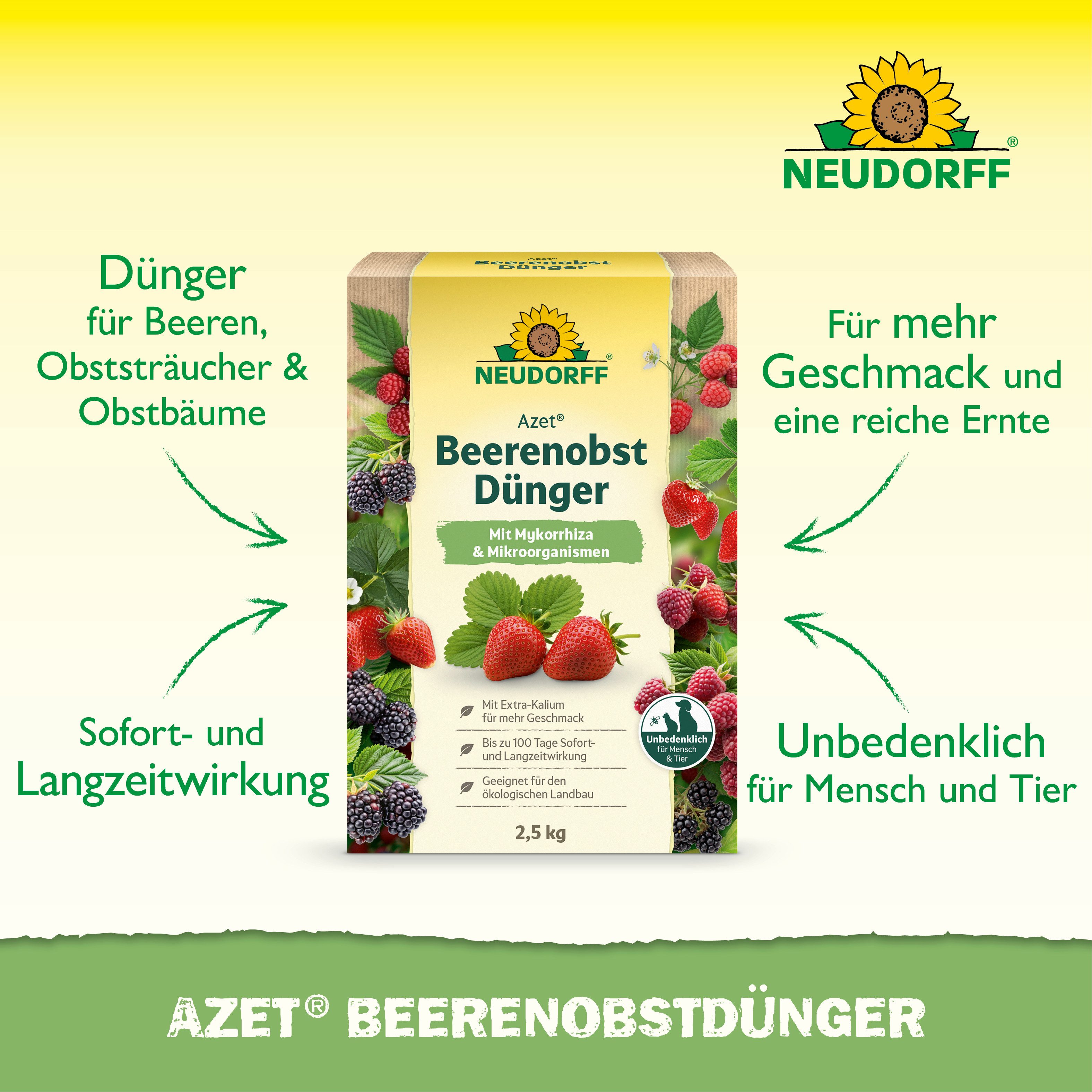 Neudorff Obstdünger Azet Beeren- & ObstDünger 2,5 kg, organischer Langzeitdünger mit Sofort- & Langzeitwirkung, Himbeer & Erdbeer Dünger aus natürlichen Rohstof – Bild 2 von 5