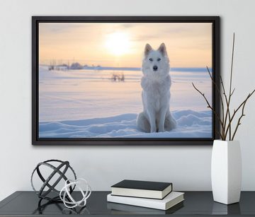 Pixxprint Leinwandbild Weißer Wolf im Schnee, Wanddekoration (1 St), Leinwandbild fertig bespannt, in einem Schattenfugen-Bilderrahmen gefasst, inkl. Zackenaufhänger
