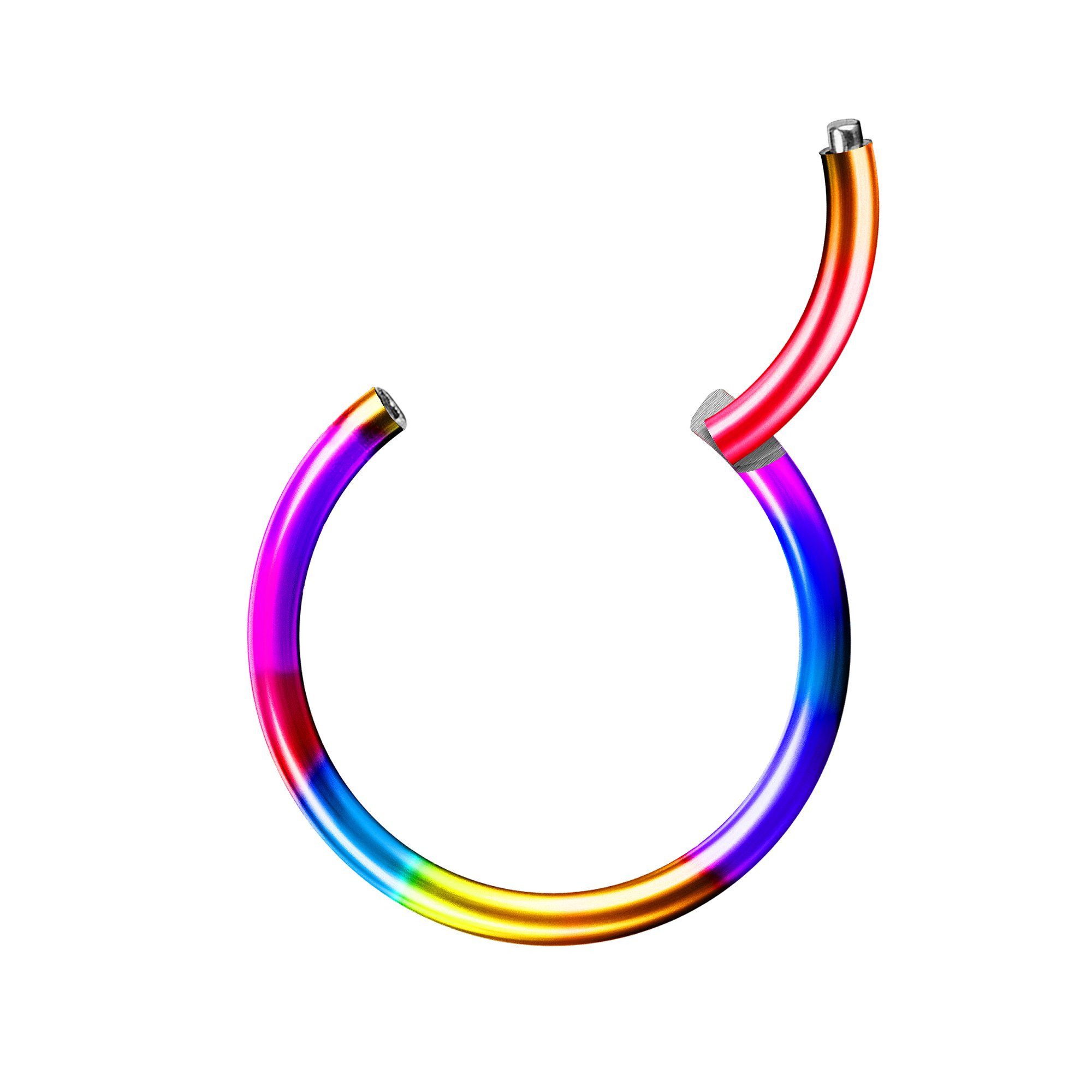 Lippe Segment Augenbrauen Rainbow G23 Scharnier Nase Klicker Taffstyle Titan Chirurgenstahl, Ohr oder Nasenpiercing Septum Piercing Segmentring Brust Ring